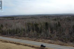 Land for Sale, Lot 1-0 Scotsburn Road, West Branch, NS