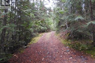 Property for Sale, 144 Acres South Fork Road, Cherryville, BC