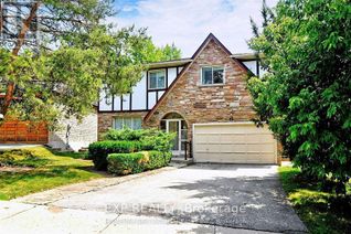 Property for Rent, Back Ground Fl - 53 Aspenwood Drive, Toronto (Hillcrest Village), ON