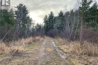 Property for Sale, Route 105, Youngs Cove, NB