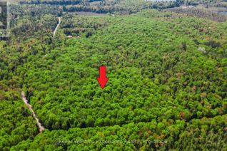 Property for Sale, 0 Healey Lake Road, Bracebridge (Macaulay), ON Property for Sale, 0 Healey Lake Road, Bracebridge (Macaulay), ON