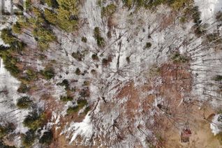 Commercial Land for Sale, 0 Unopened Road Allowance, Faraday, ON Commercial Land for Sale, 0 Unopened Road Allowance, Faraday, ON