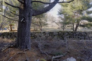 Commercial Land for Sale, Lot Ss-1 Maple Drive, Lower Ohio, NS