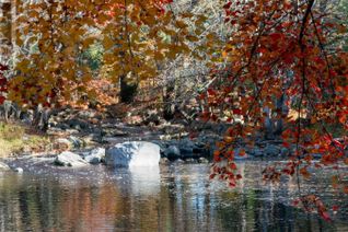 Commercial Land for Sale, Lot Ss-2 Maple Drive, Lower Ohio, NS