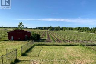 Farm for Sale, 450 Queenston Road, Niagara-on-the-Lake (St. Davids), ON Farm for Sale, 450 Queenston Road, Niagara-on-the-Lake (St. Davids), ON