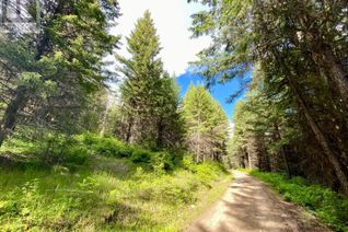 Property for Sale, Lot 1827s Morrissey Creek Road, Grand Forks, BC Property for Sale, Lot 1827s Morrissey Creek Road, Grand Forks, BC