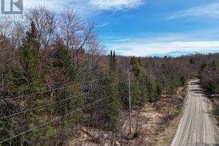 Property for Sale, 0 Peter Road, Bracebridge (Macaulay), ON Property for Sale, 0 Peter Road, Bracebridge (Macaulay), ON
