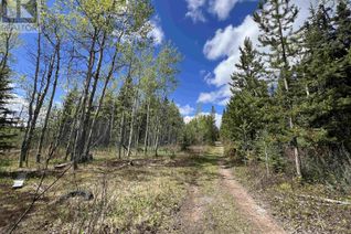 Property for Sale, Dl 2466 Tchesinkut Lake, Burns Lake, BC Property for Sale, Dl 2466 Tchesinkut Lake, Burns Lake, BC