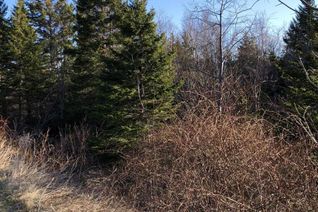 Land for Sale, Lots 14 & 15 Highview & Clough Ave, Port Hastings, NS