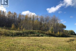 Property for Sale, 16326 Twp Rd 675 #115, Plamondon, AB