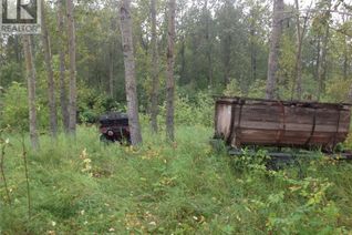 Commercial Land for Sale, 88 Acres Hudson Bay, Hudson Bay, SK