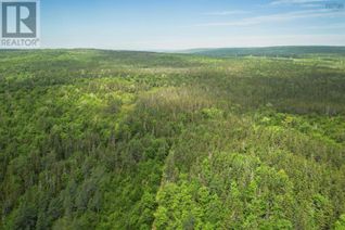 Commercial Land for Sale, 197 + / - Back Road, Thibeauville, NS