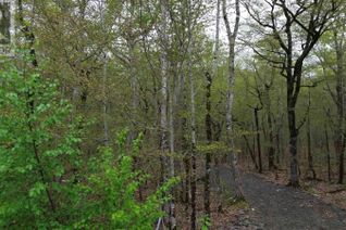 Property for Sale, Lot 46 Turner Point Road, Walden, NS