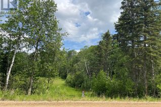 Property for Sale, 24 Tranquility Drive, Big River Rm No. 555, SK