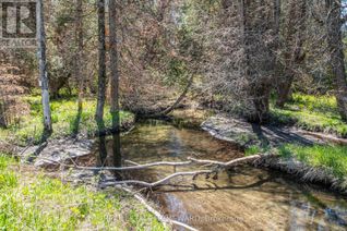 Commercial Land for Sale, P/L35 Con 5 Bull Road, Alnwick/Haldimand, ON