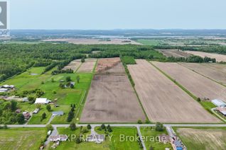Commercial Land for Sale, 00 Concession 3 Road, Alfred and Plantagenet, ON