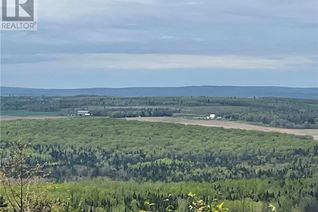 Property for Sale, Lot Howland Ridge Road, Millville, NB