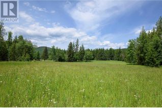 Land for Sale, 937 Clearwater Village Road, Clearwater, BC