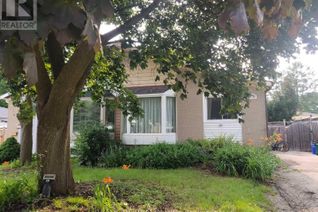 Bungalow for Rent, 349 Browndale Crescent #Basement, Richmond Hill (Crosby), ON