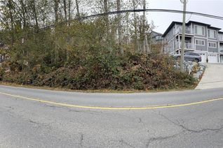 Vacant Residential Land for Sale, 249 North Shore Rd, Lake Cowichan, BC