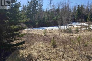 Land for Sale, 17987 Highway 316, Country Harbour, NS
