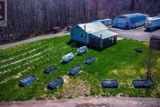 Automotive Related Business for Sale, 1064 Highway 321, River Philip, NS Automotive Related Business for Sale, 1064 Highway 321, River Philip, NS