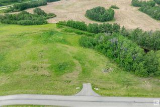 Land for Sale, 27 53214 Rge Road 13, Rural Parkland County, AB