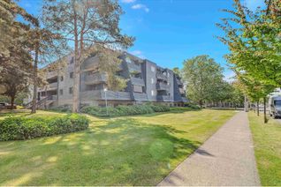 Condo Apartment for Sale, 17661 58a Avenue #213, Surrey, BC