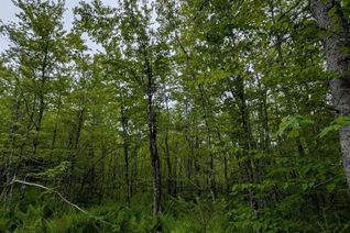 Land for Sale, Cm2j Lot Cm2j Mckenzie Lane, Mount Uniacke, NS