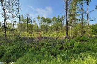 Property for Sale, 000 Upper Tower Hill Road, Tower Hill, NB
