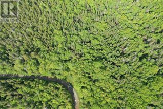 Property for Sale, Grant 16738 Moser River North Road, Moser River, NS