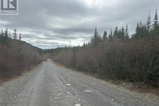 Commercial Land for Sale, Lot # 04 Quarry Road, Burgoynes Cove, NL
