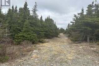 Commercial Land for Sale, Lot # 05 Quarry Road, Burgoynes Cove, NL