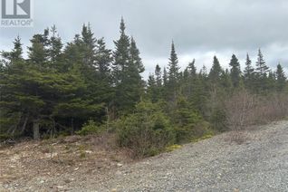 Commercial Land for Sale, Lot # 02 Quarry Road, Burgoynes Cove, NL