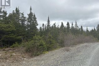 Commercial Land for Sale, Lot # 06 Quarry Road, Burgoynes Cove, NL