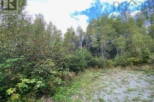 Property for Sale, Lot 104 Highway, Linacy, NS