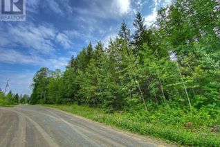 Property for Sale, 25-28 Vancouver Street #LOTS, New Hazelton, BC