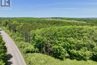 Property for Sale, Clark Road, Bear River, NS