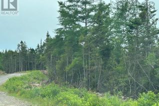 Commercial Land for Sale, Salmon River Road, West L'ardoise, NS