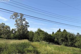 Property for Sale, 2427 South Main Street, Westville, NS Property for Sale, 2427 South Main Street, Westville, NS