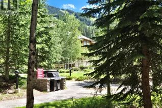 Condo Apartment for Sale, 2064 Summit Drive #109, Panorama, BC