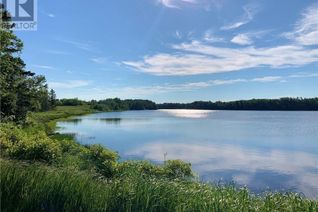 Property for Sale, 1 Acre Hatty's Hideaway (Off Rte 117), Black River Bridge, NB