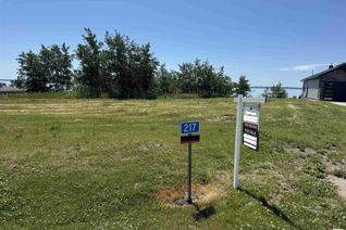 Property for Sale, 217 Lakeview Dr, Rural Camrose County, AB Property for Sale, 217 Lakeview Dr, Rural Camrose County, AB