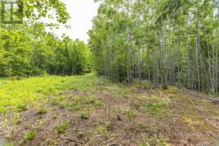 Property for Sale, River Road, Plymouth, NS