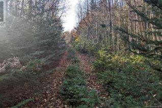 Property for Sale, Old Great Road, Hopewell Cape, NB