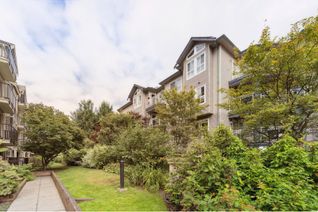 Condo Apartment for Sale, 8115 121a Street #211, Surrey, BC