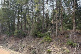 Commercial Land for Sale, Lot Portage Road, DeGros Marsh, PE