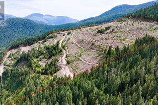 Property for Sale, Quartz Creek Forest Service Road Road Lot# Parcel A, Ymir, BC Property for Sale, Quartz Creek Forest Service Road Road Lot# Parcel A, Ymir, BC