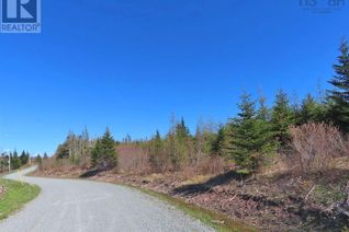 Land for Sale, Lot 3 Rear Big Cove Road, Soldiers Cove, NS Land for Sale, Lot 3 Rear Big Cove Road, Soldiers Cove, NS
