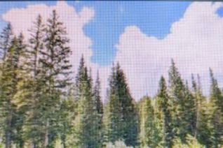 Commercial Land for Sale, Terrace Road, Quesnel, BC